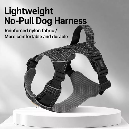 Adjustable Nylon Vest-Style Dog Harness and Leash Set