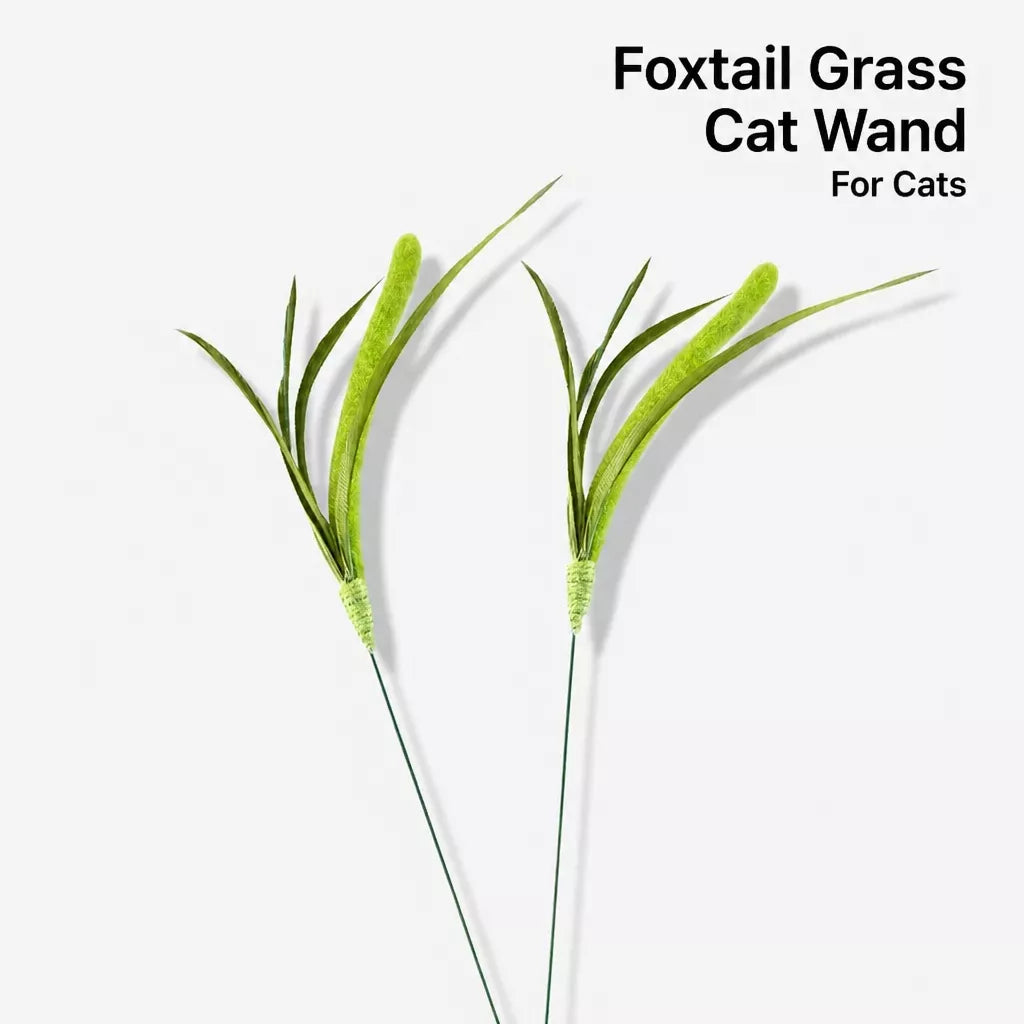 Foxtail Cat Teaser Wand Toy