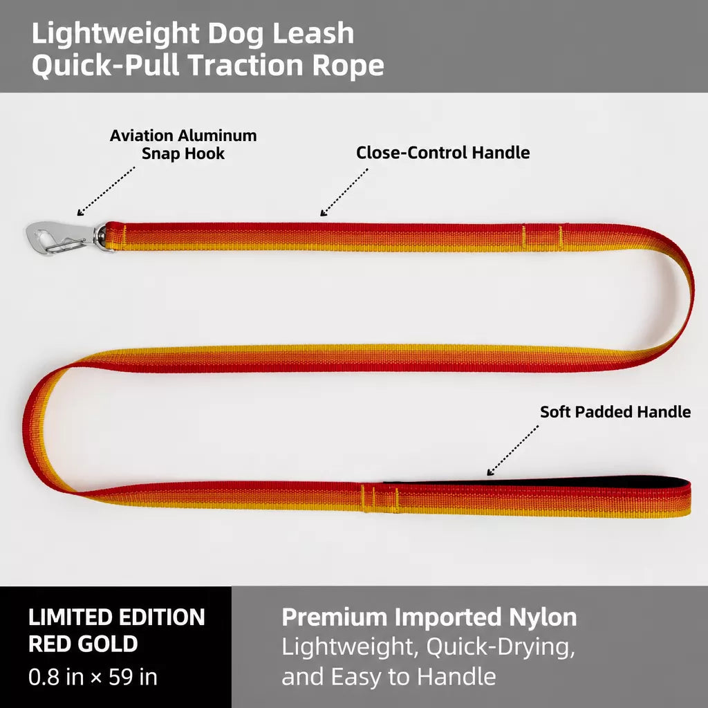 Lightweight Quick-Dry Polyester Dog Leash