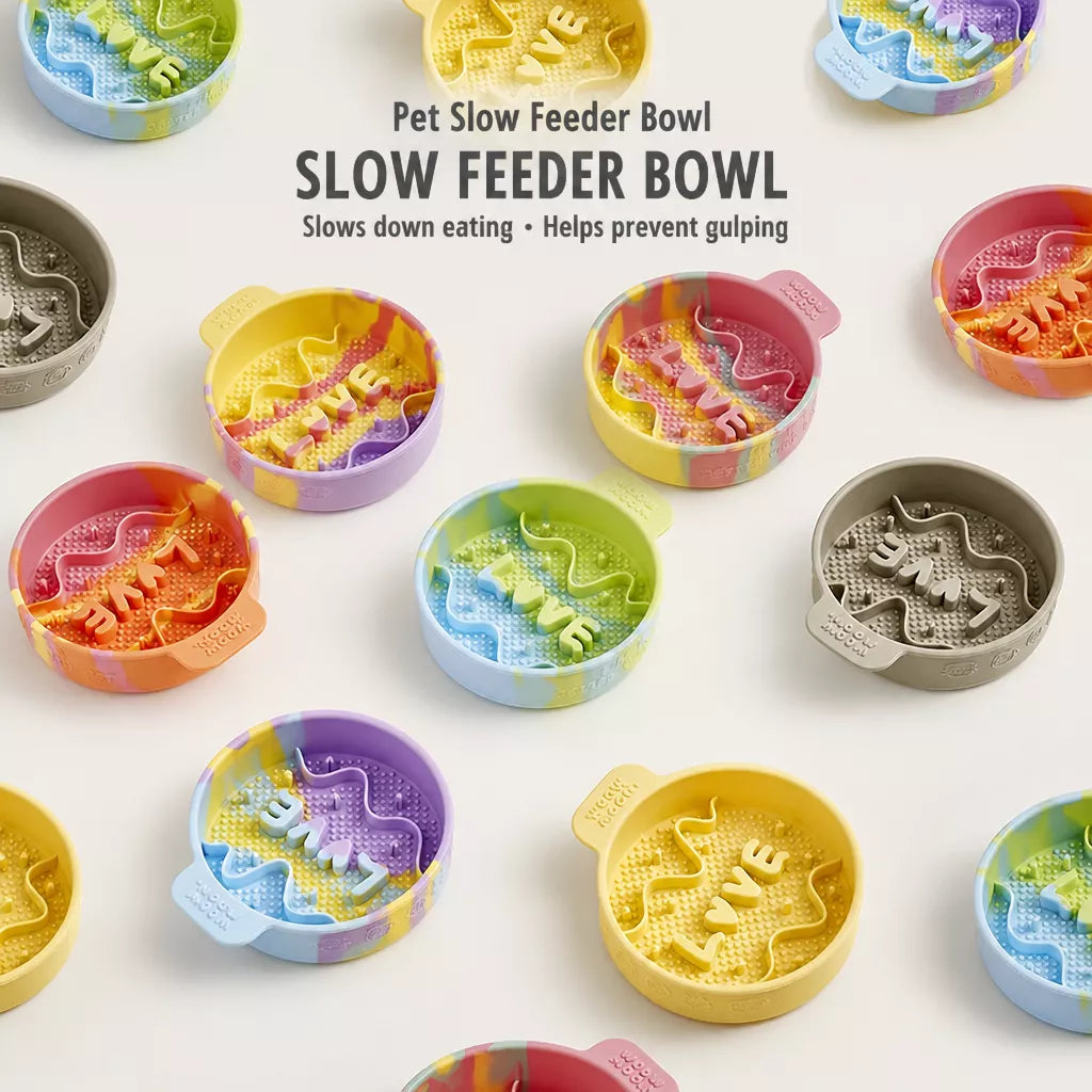 Slow Feeder Pet Bowl for Dogs and Cats