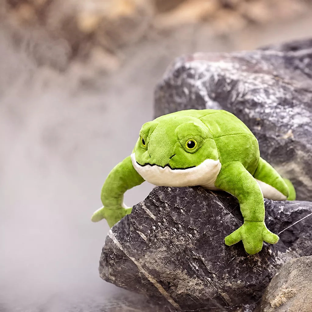 Plush Squeaky Frog Toy for Dogs