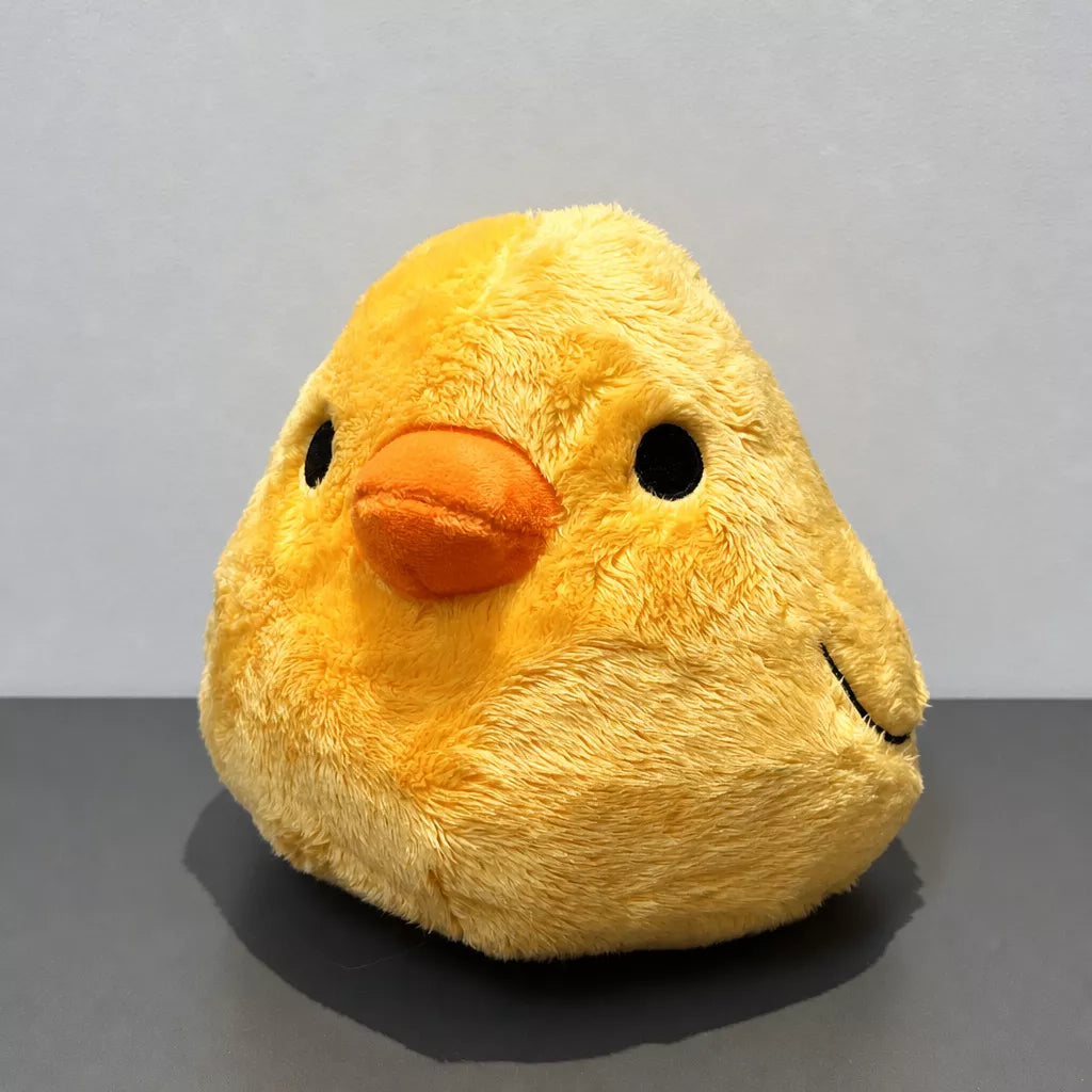 Plush Dog Toys with Squeakers and Crinkle Details