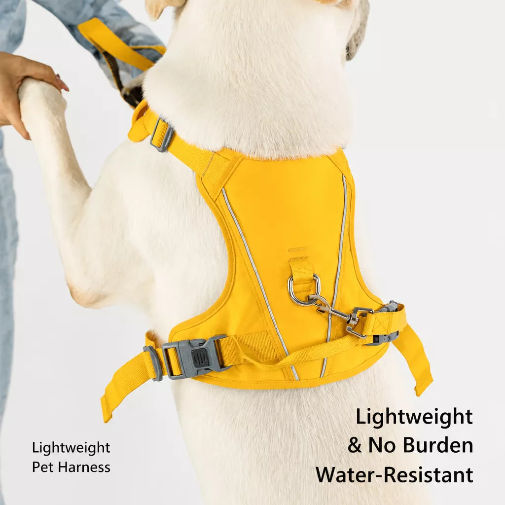 Lightweight Nylon Dog Harness and Leash Set