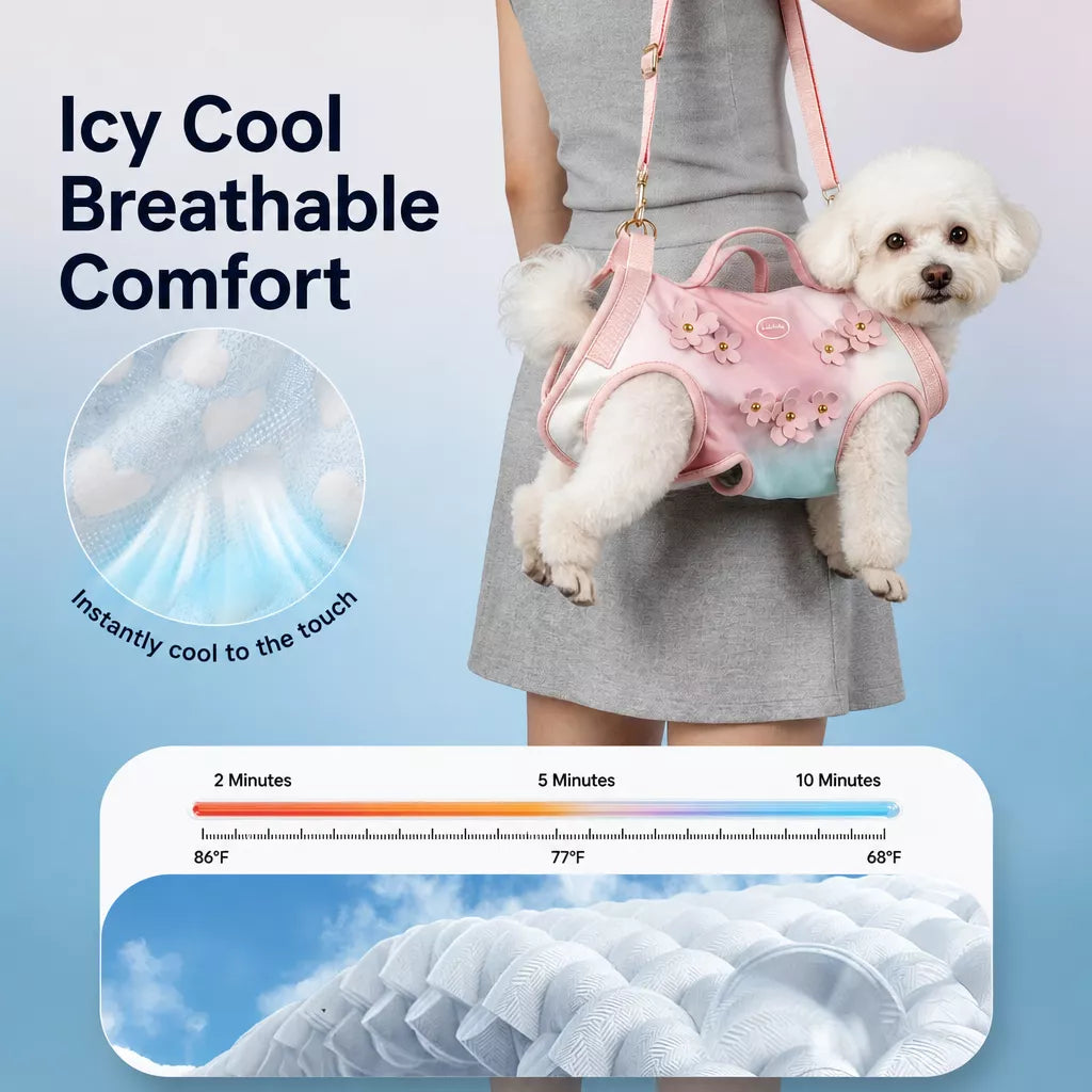 Small Pet Shoulder Carrier Bag for Cats and Small Dogs