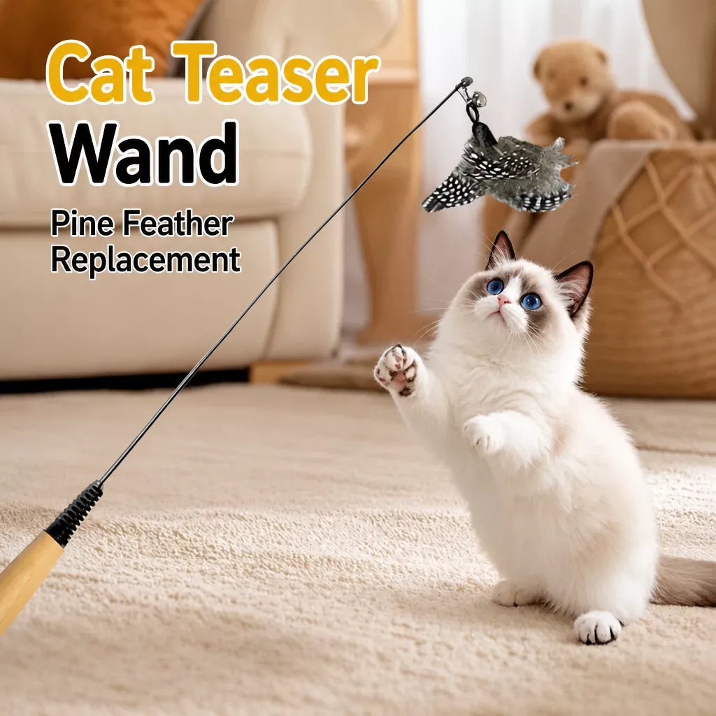 Interactive Cat Teaser Wand with Feather Replacement Heads