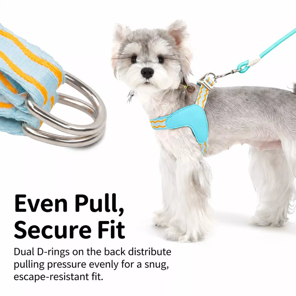 Y-Shaped Dog Harness and Leash for Small to Medium Dogs