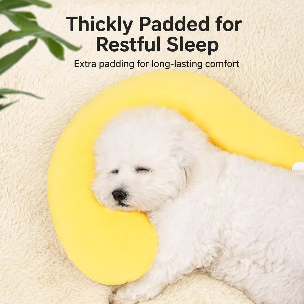 Pillow-Style Pet Bed for Cats and Dogs