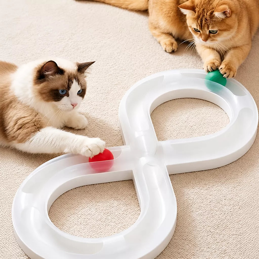 Interactive Cat Ball Track Toy