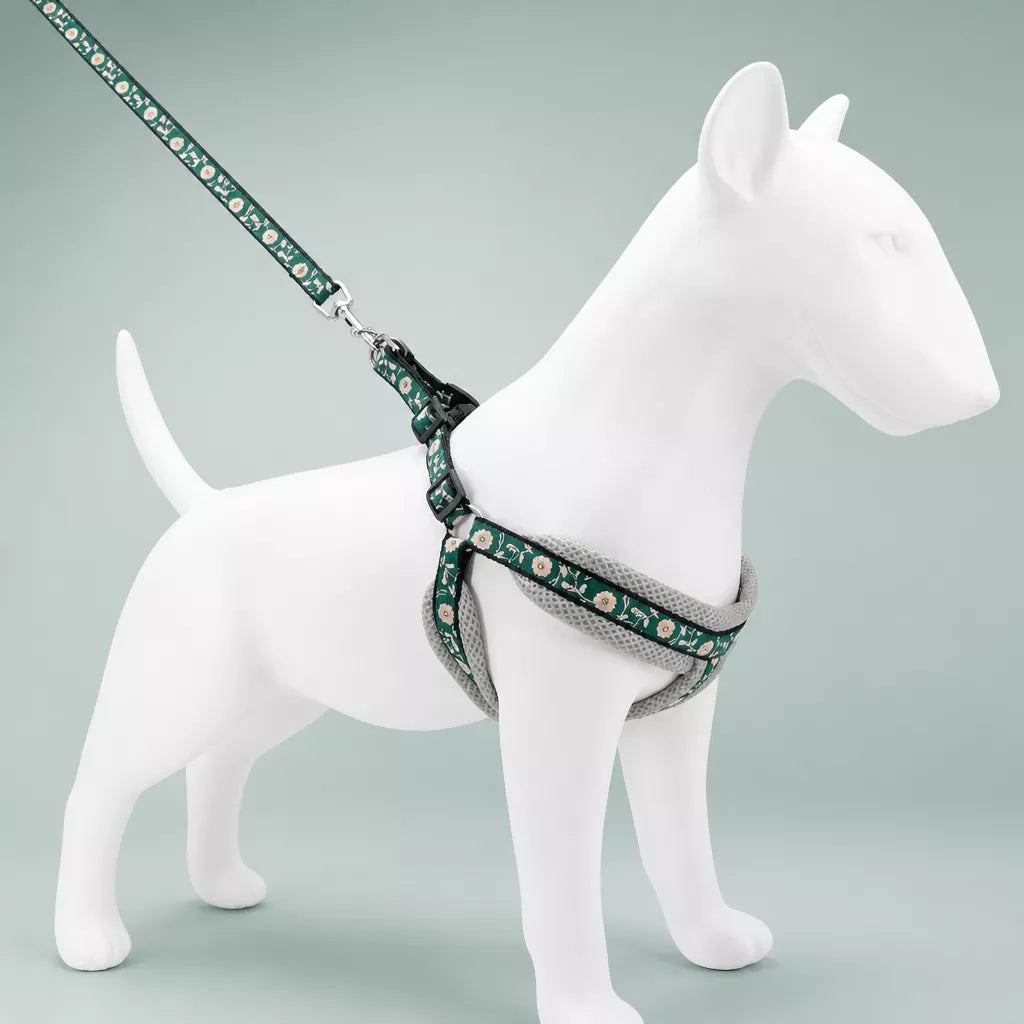 Small Dog Vest Harness and Leash