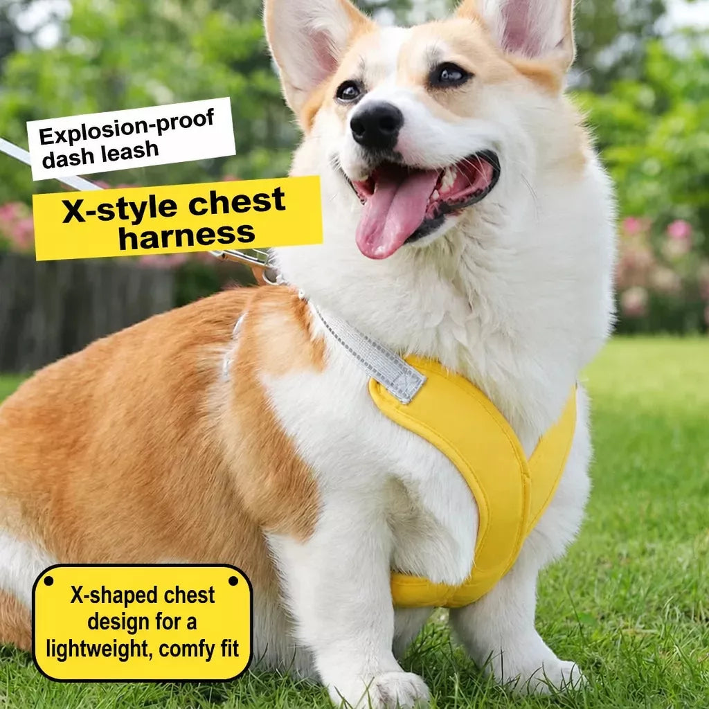 X-Style Pet Harness and Leash
