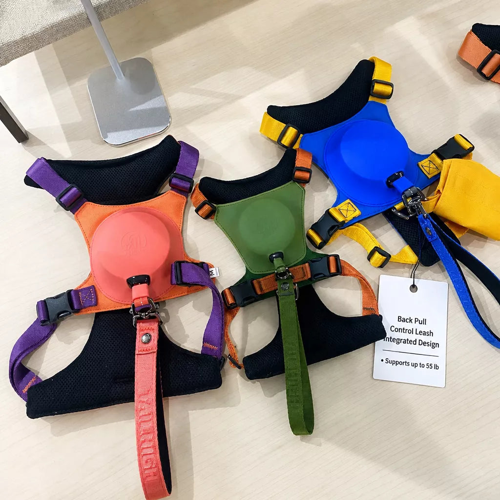 Nylon Dog Harness and Leash Set