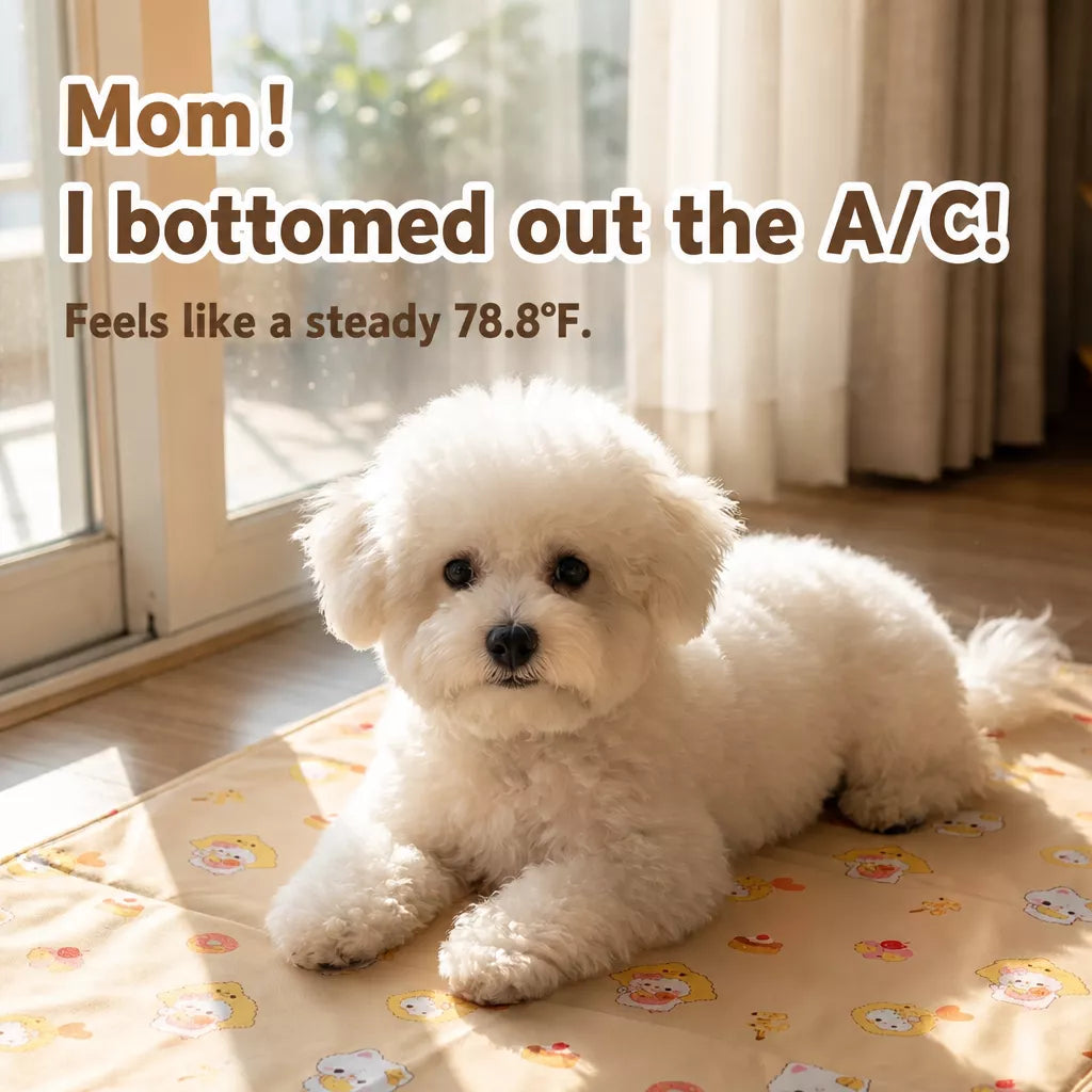 Waterproof PVC Pet Mat for Dogs and Cats