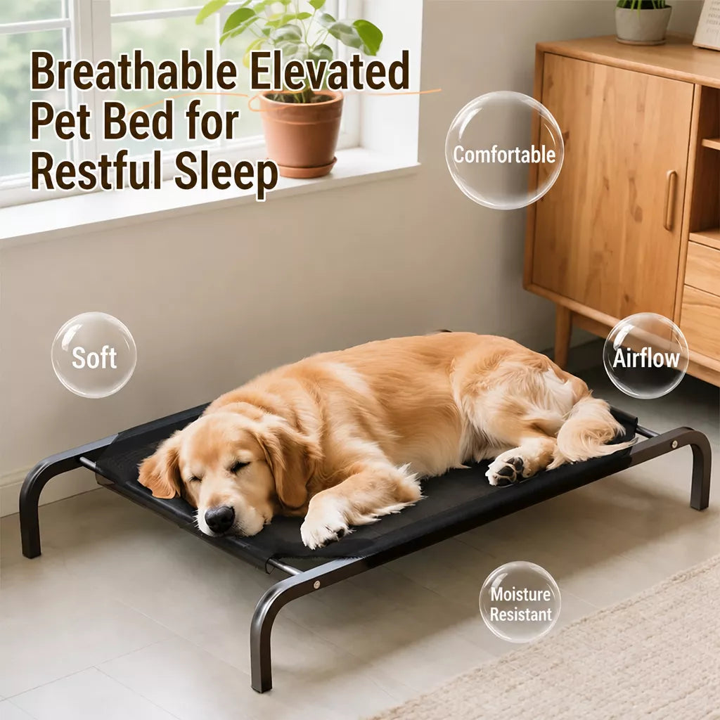 Elevated Mesh Dog Bed with Metal Frame