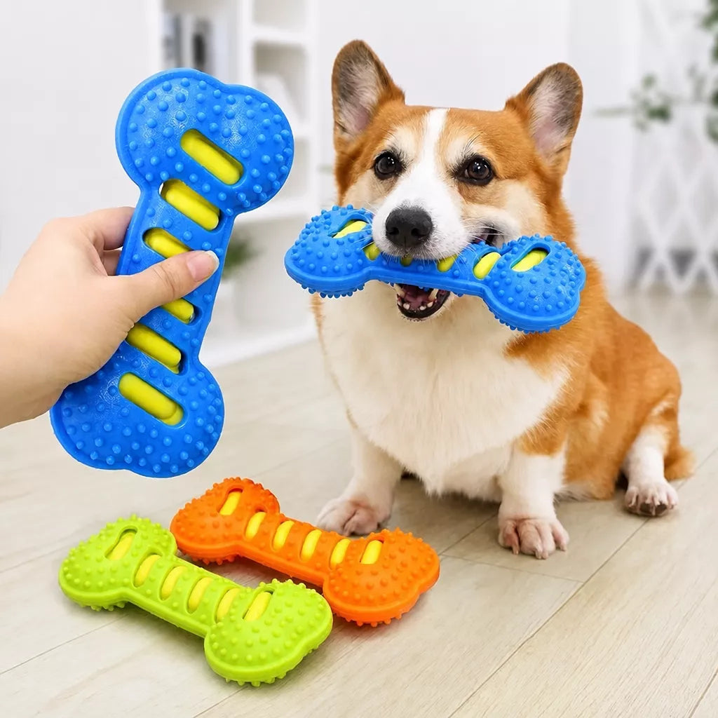 Double-Layer Squeaky Bone Toy for Large Dogs