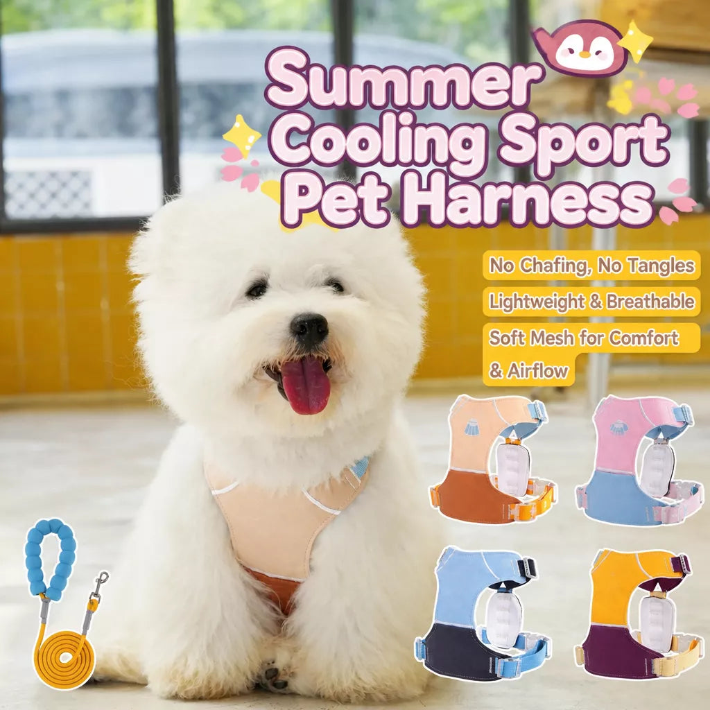 Vest-Style Dog Harness with Leash for Small to Medium Dogs