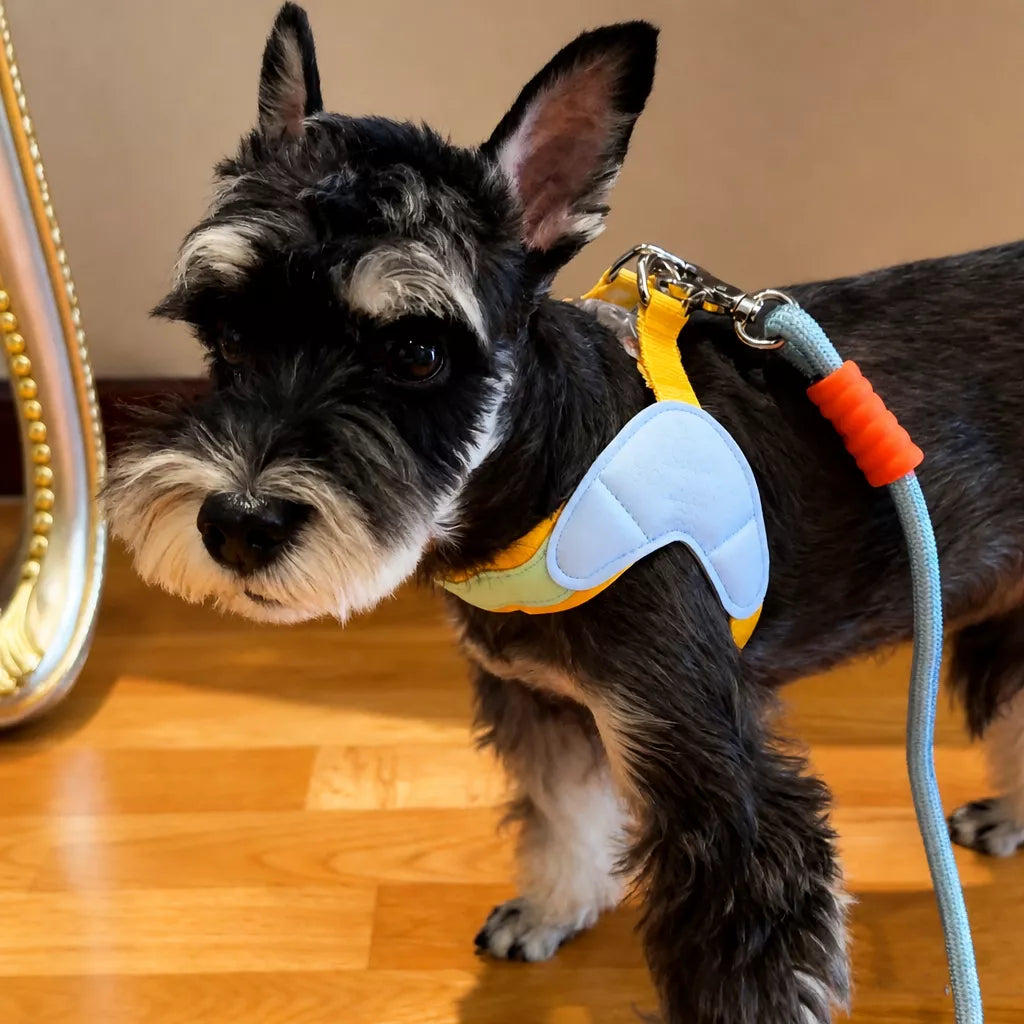 Y-Front Dog Harness with Matching Leash