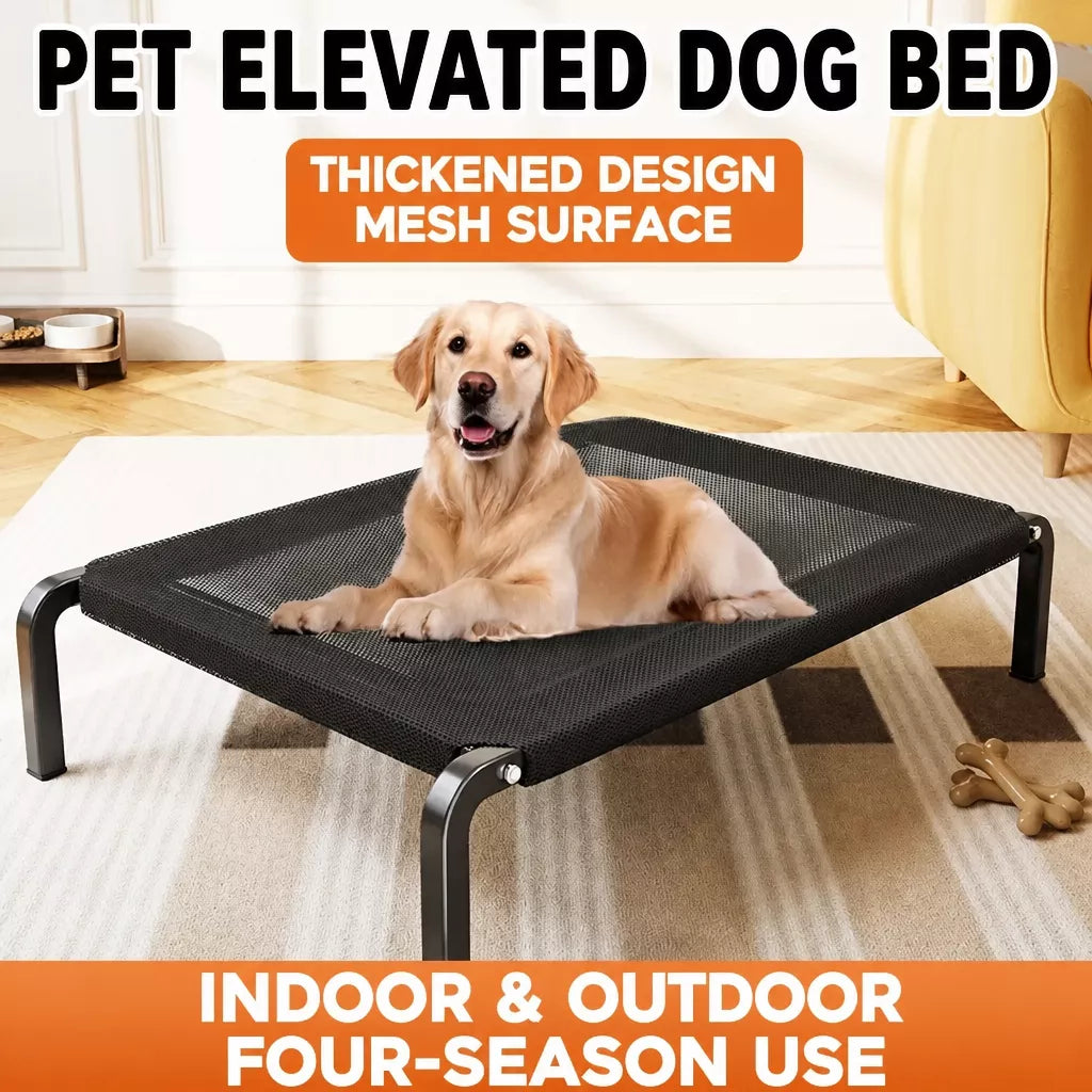 Elevated Pet Cot Bed with Removable Washable Nylon Cover