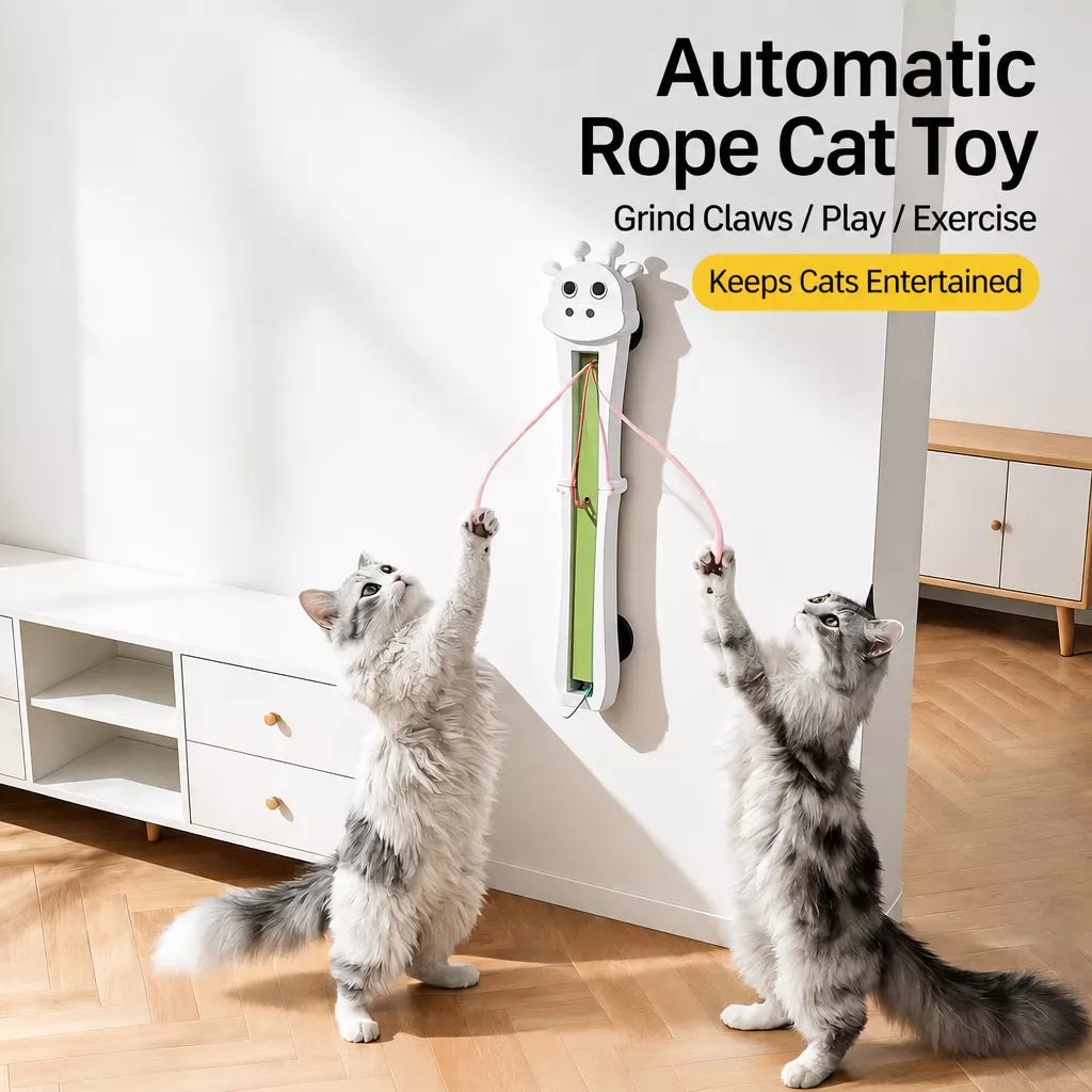 Automatic Wall-Mounted Interactive Cat Toy with Rotating Rope