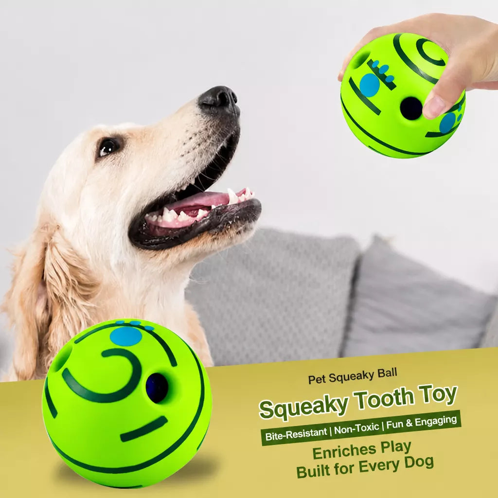 Squeaky Vinyl Ball Toy for Dogs