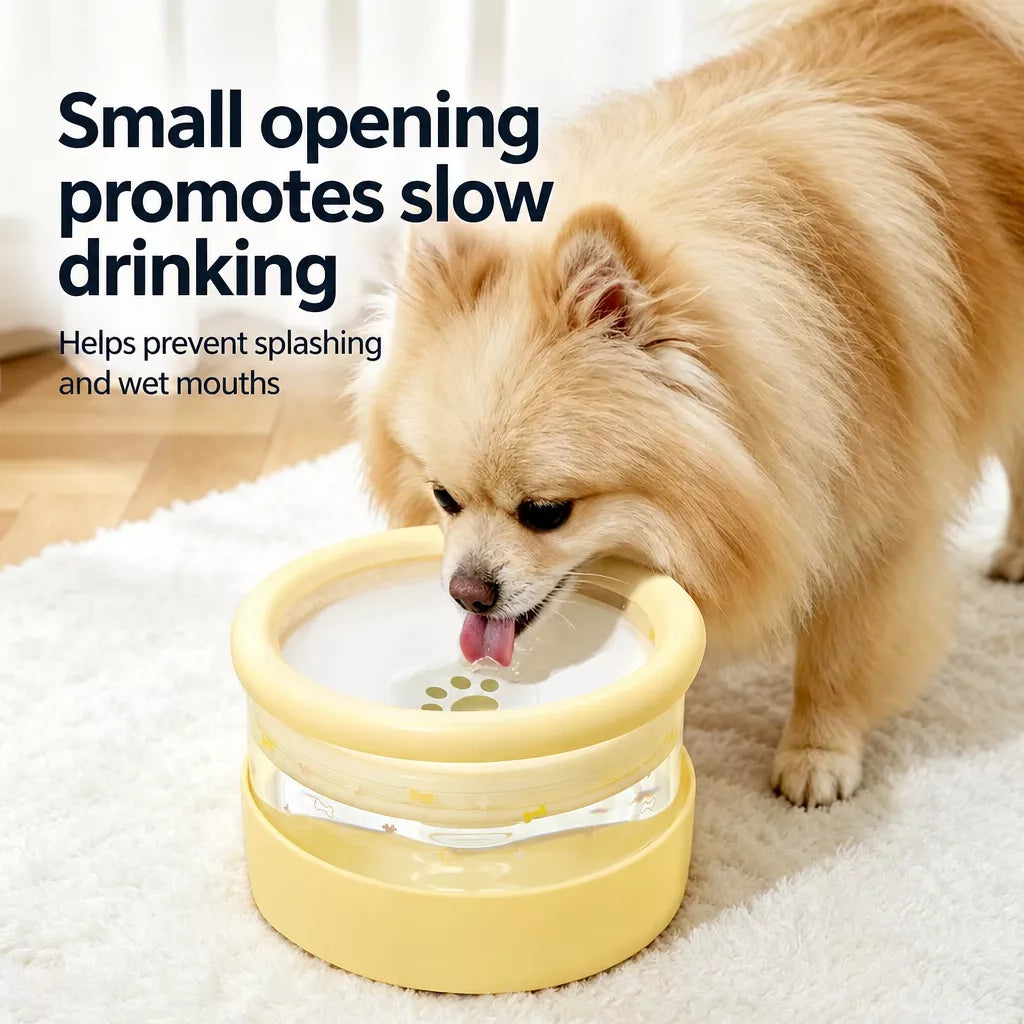 Floating Water Bowl for Cats and Dogs