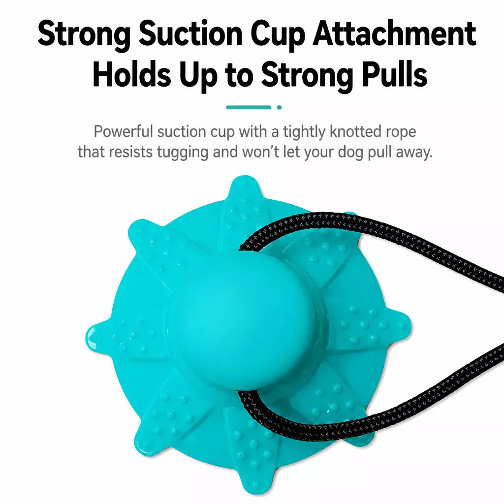 Suction Cup Treat-Dispensing Dog Toy