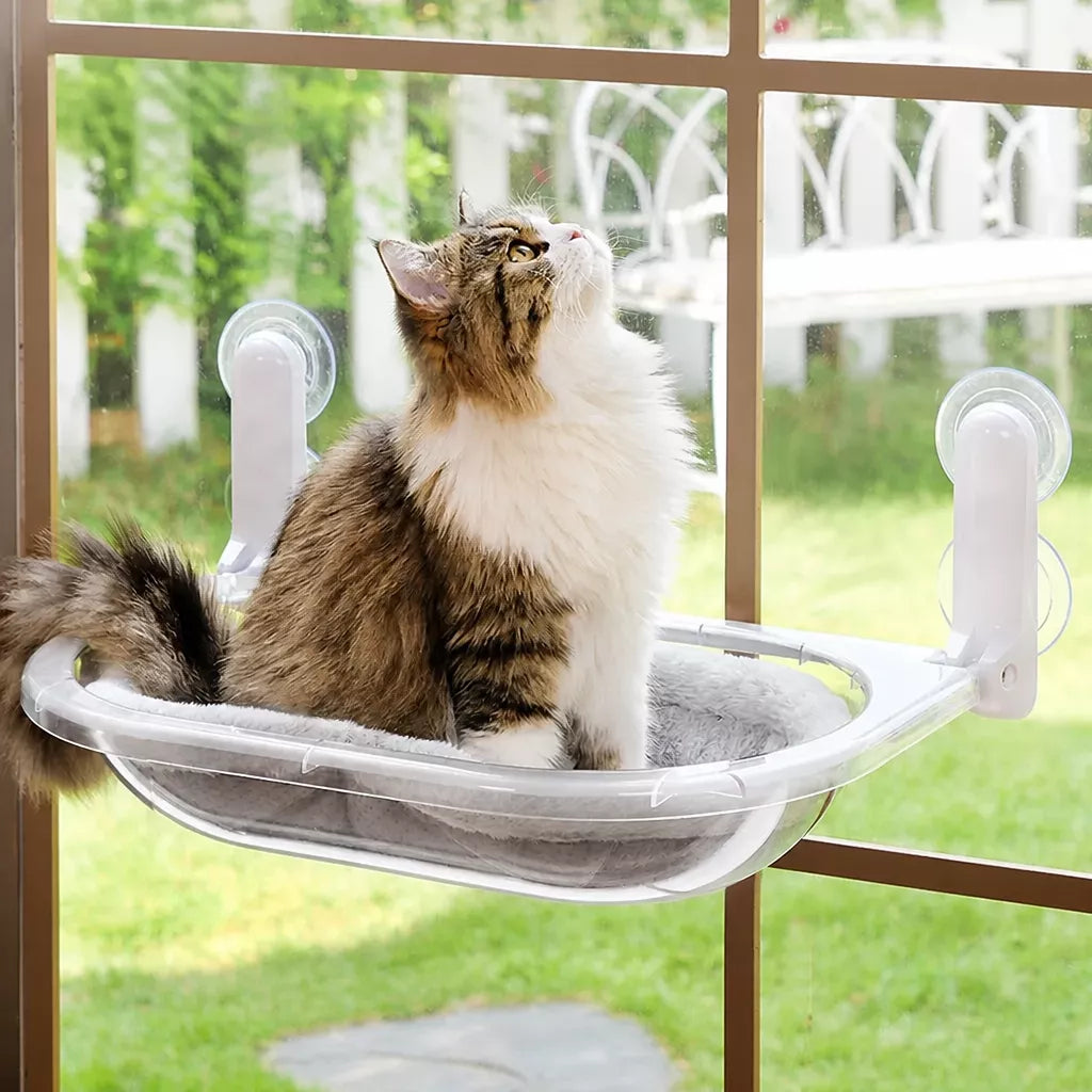 Foldable Transparent Cat Window Capsule Hammock