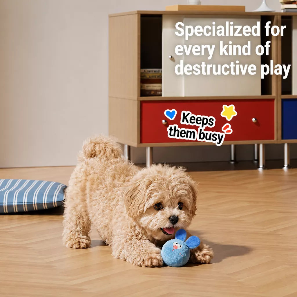 Squeaky Elastic Ball Dog Toy