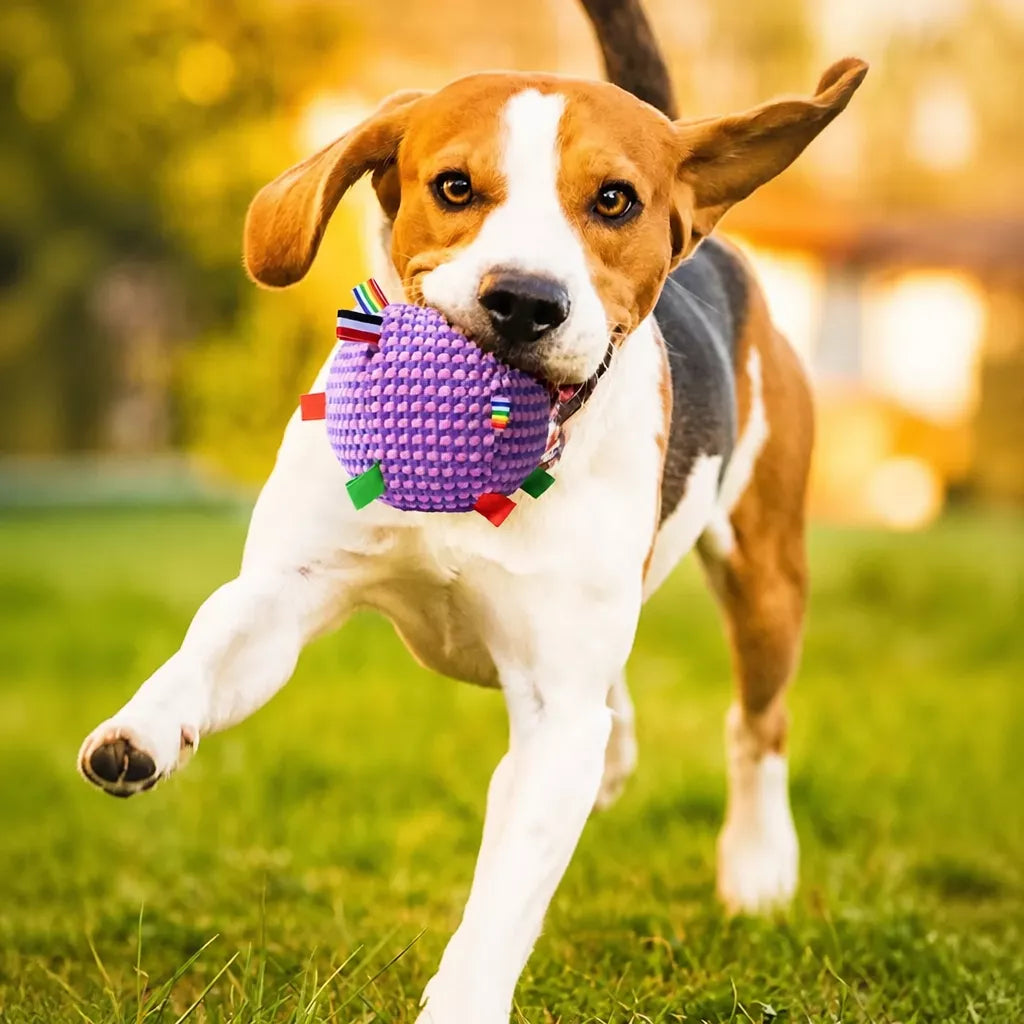 Squeaky Plush Ball Dog Toy