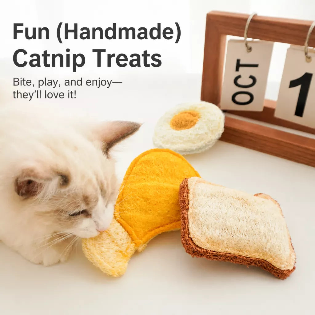 Natural Loofah Cat Toy with Catnip