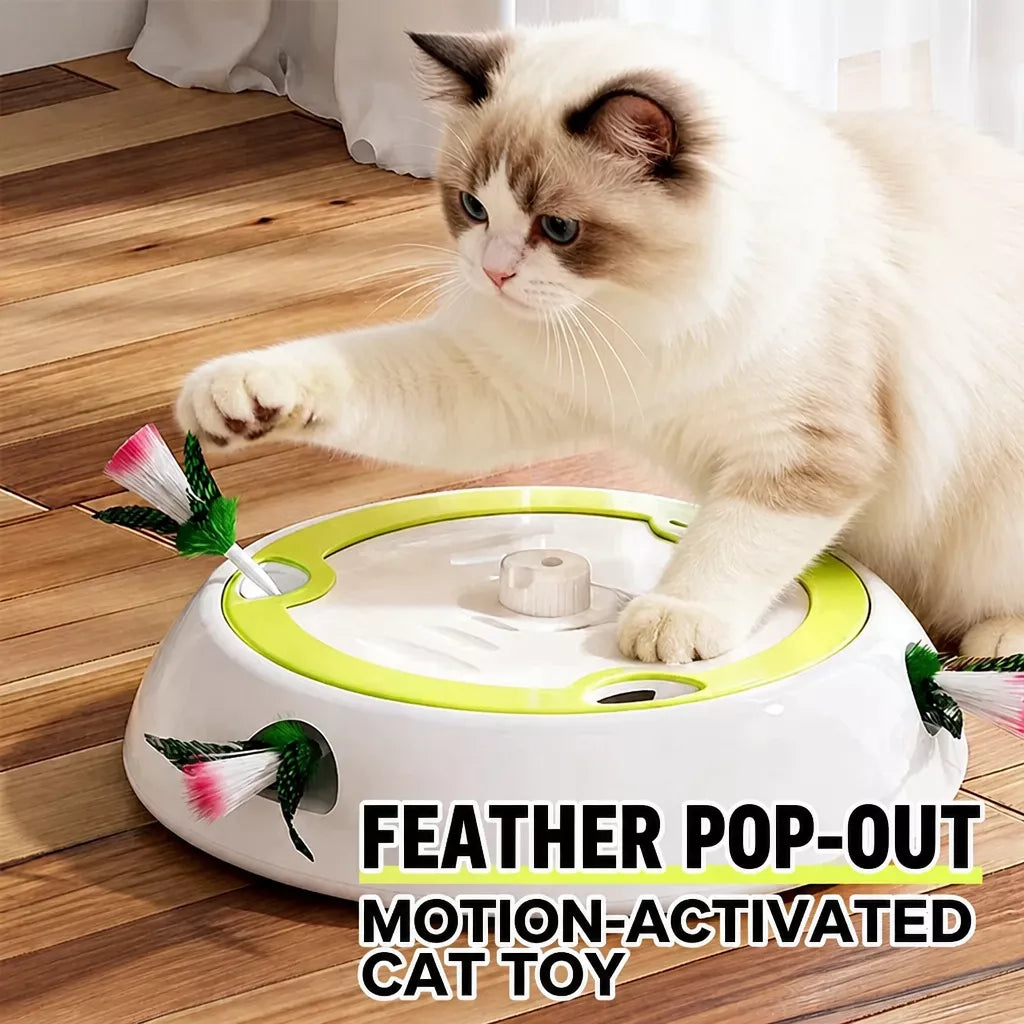 Rechargeable Automatic Whack-a-Mole Cat Toy