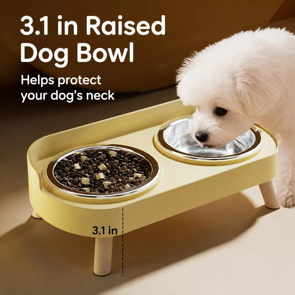 Double Dog Bowl Stand with Stainless Steel Bowls