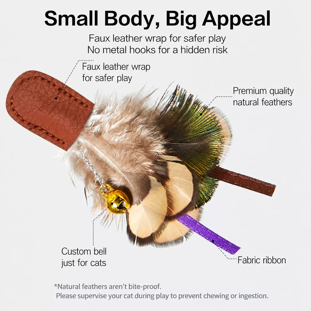 Retractable Cat Teaser Wand with Interchangeable Feather & Plush Heads