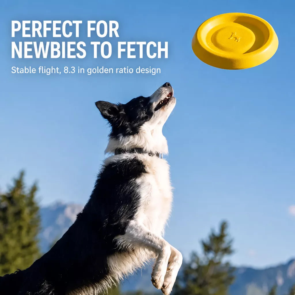 Floating Dog Frisbee Toy for Interactive Outdoor Play