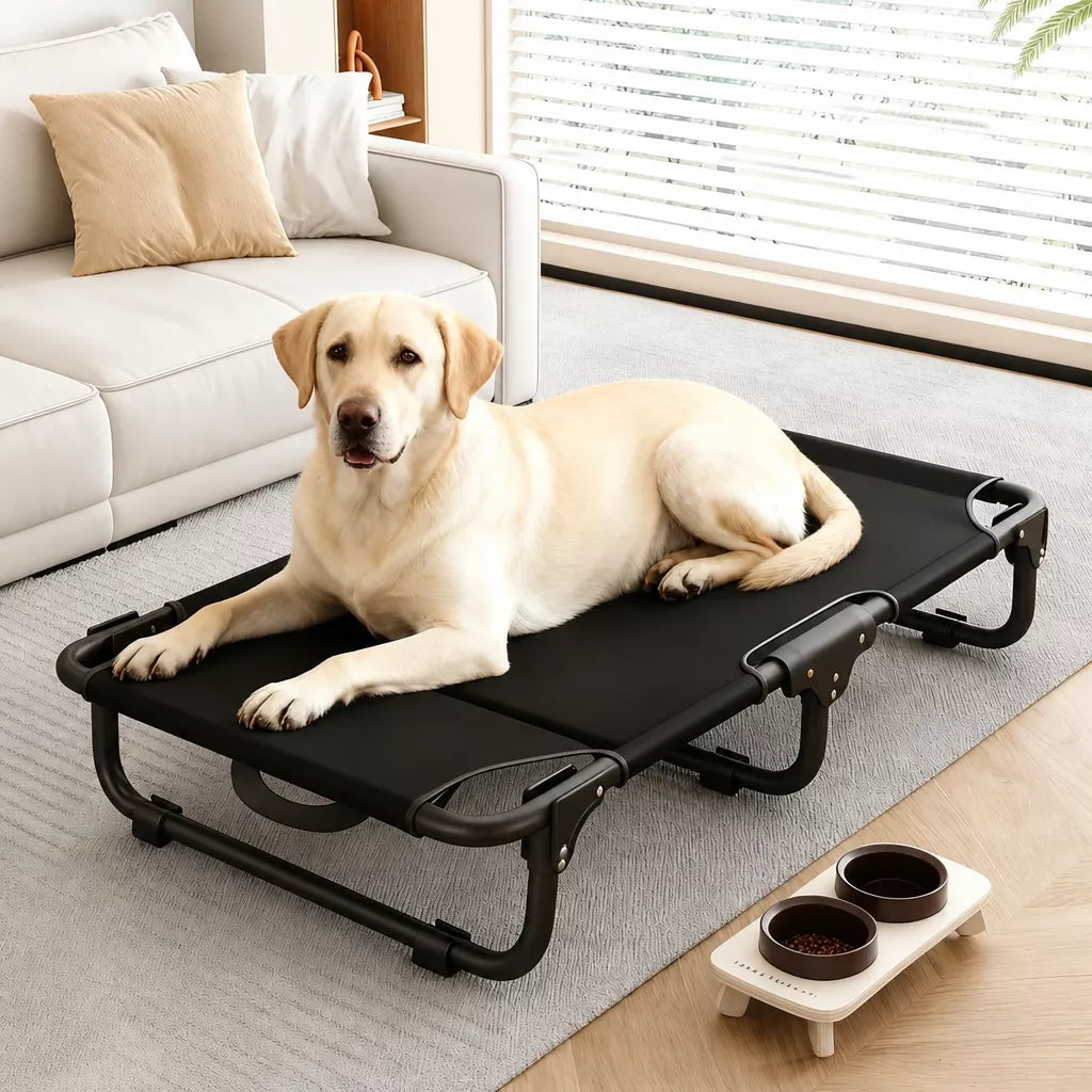 Elevated Foldable Mesh Dog Bed