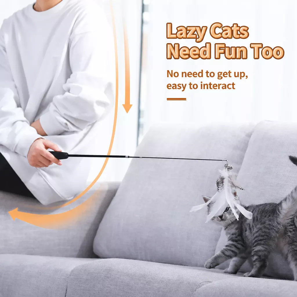 Cat Teaser Wand with Feather Replacement Toy Heads
