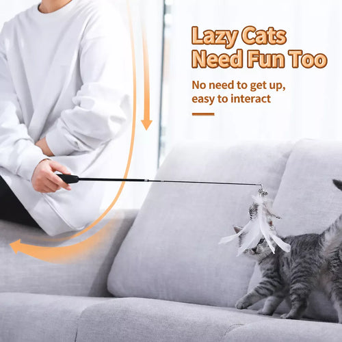 Cat Teaser Wand with Feather Replacement Toy Heads