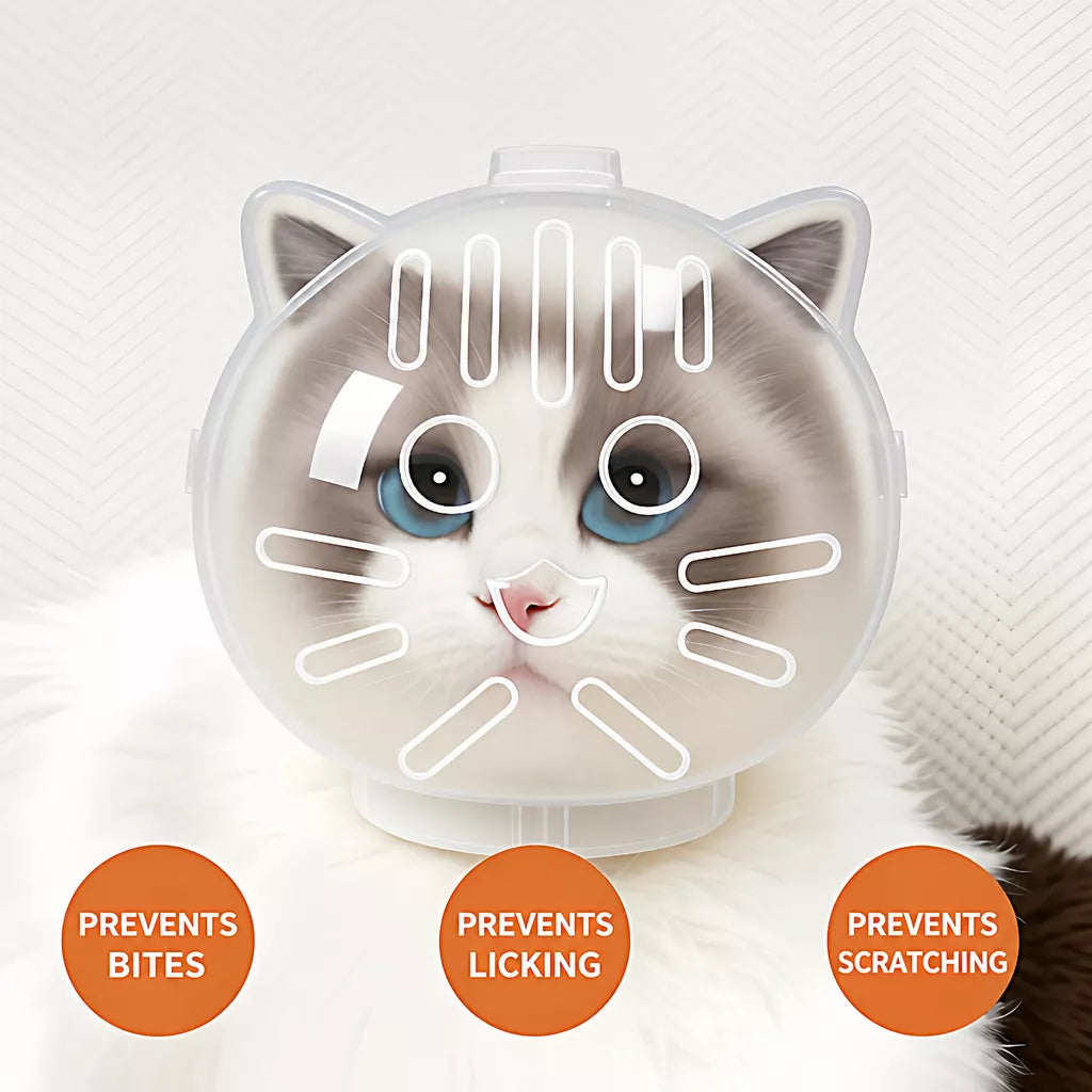 Clear Plastic Cat Elizabethan Collar