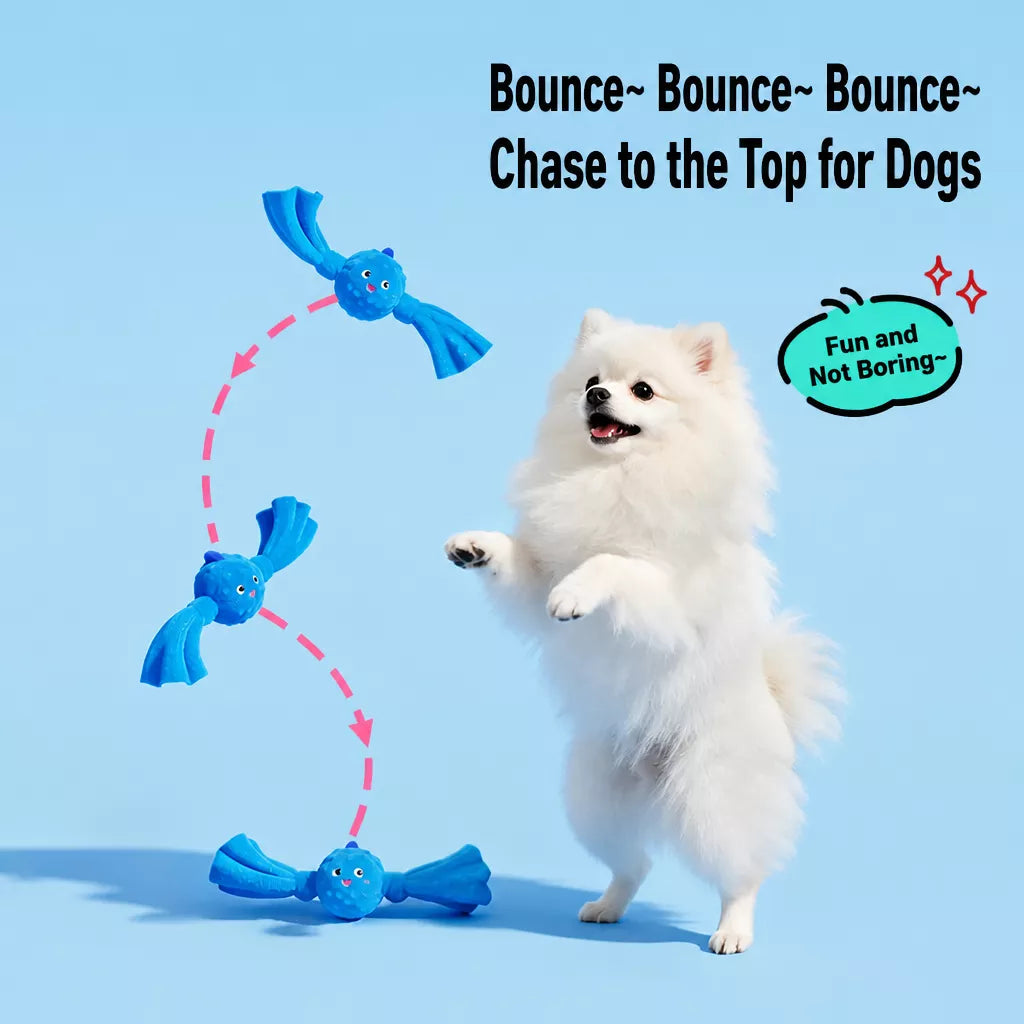 Squeaky Canvas Dog Tug Toy for Small and Medium Dogs