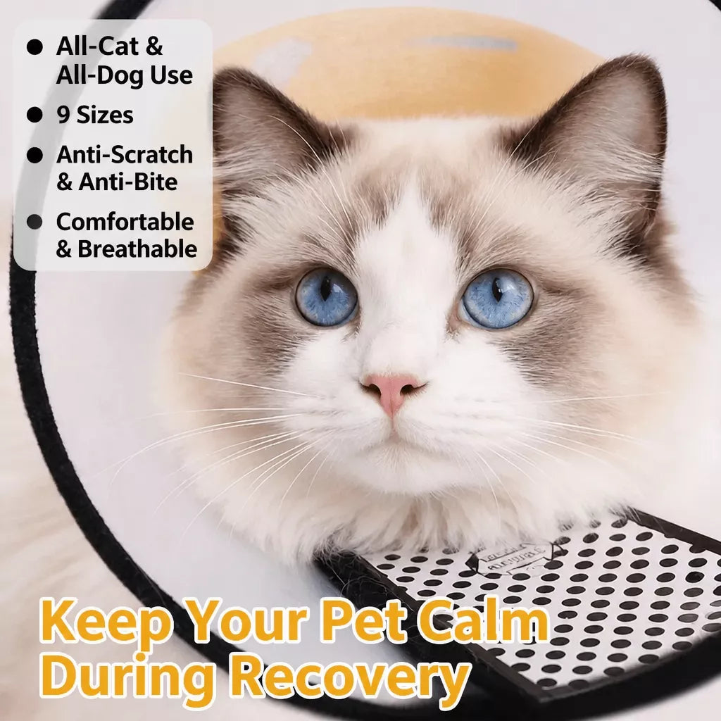 Pet Elizabethan Cone Collar