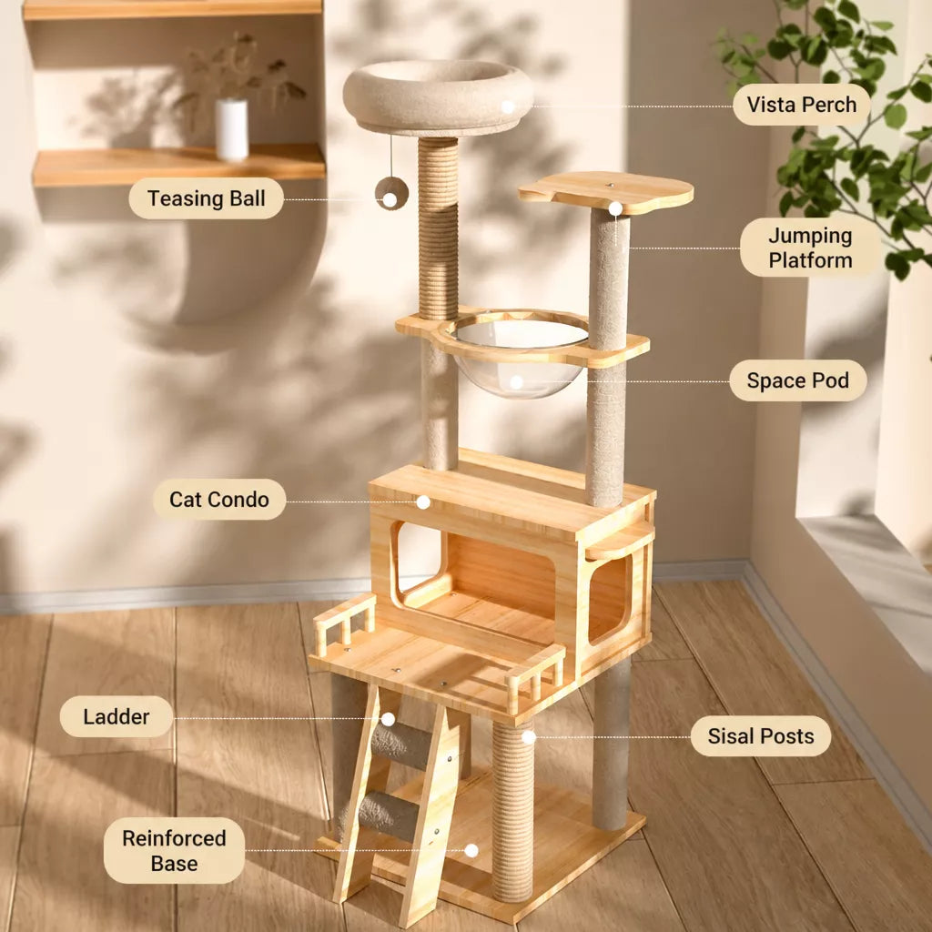 Mini Cat Tree with Enclosed Cat House and Scratching Post