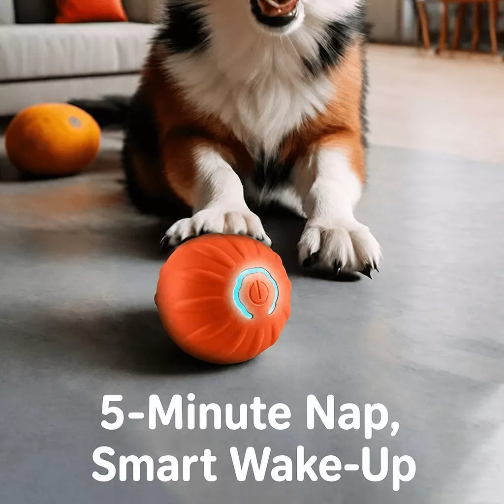 Interactive Electric Squeaky Bouncing Ball Toy for Dogs