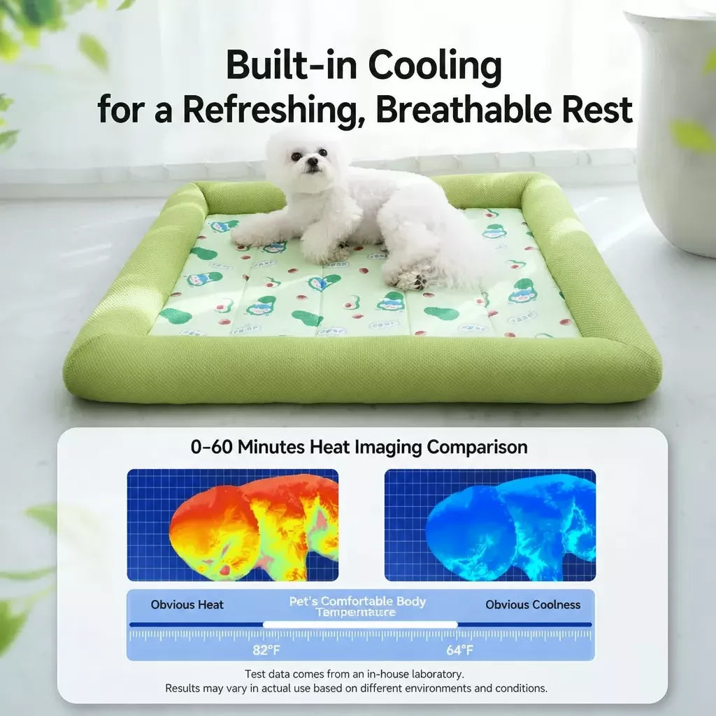 Removable Washable Fabric Dog Bed for Year-Round Use