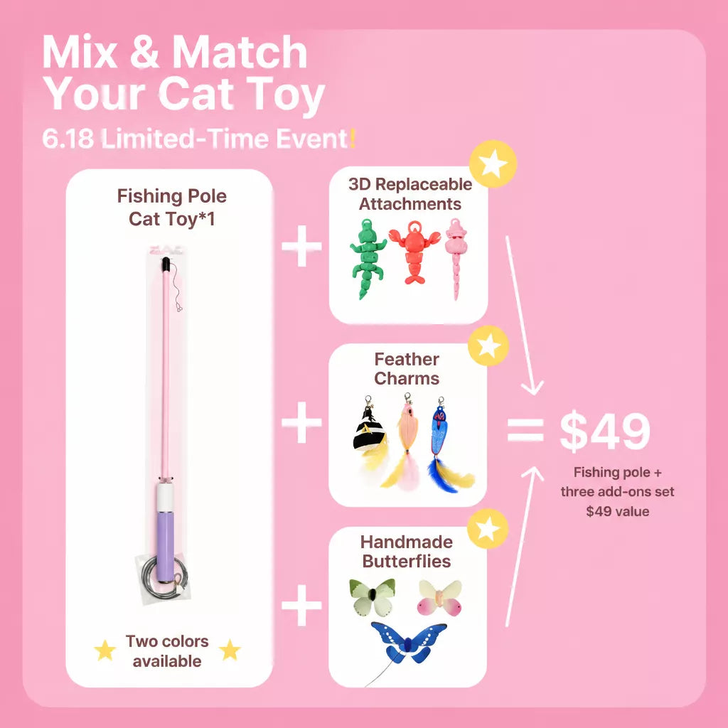 Retractable Cat Teaser Wand with Replaceable Attachments