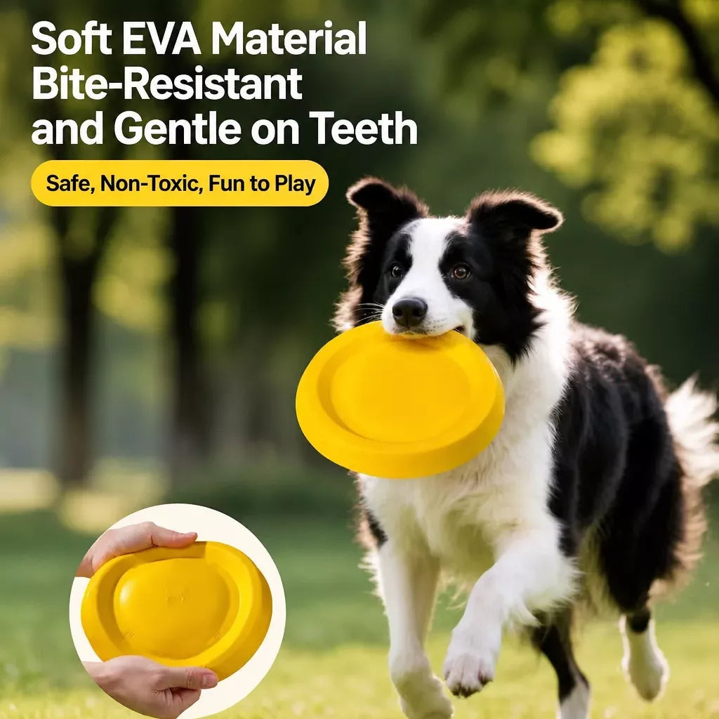 Interactive Dog Toy with Flying Disc, Tug Ring & Floating Ball