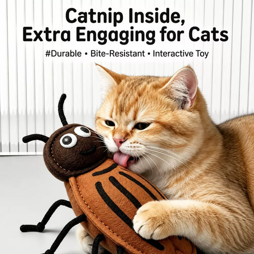 Catnip Insect Toys with Bells for Cats
