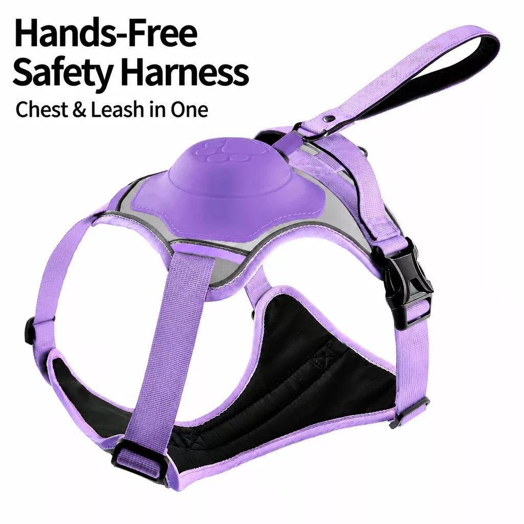 All-in-One Pet Vest Harness and Leash