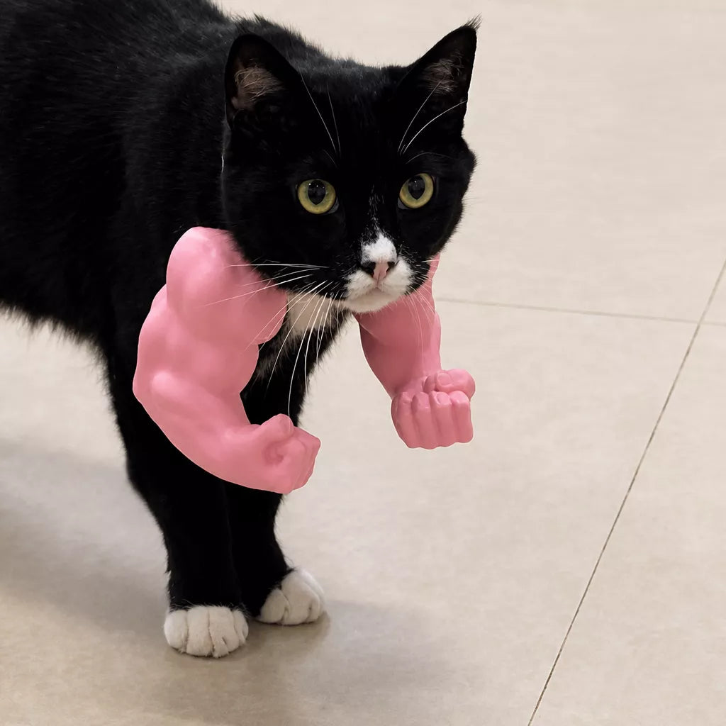 3D-Printed Pet Collar Charm