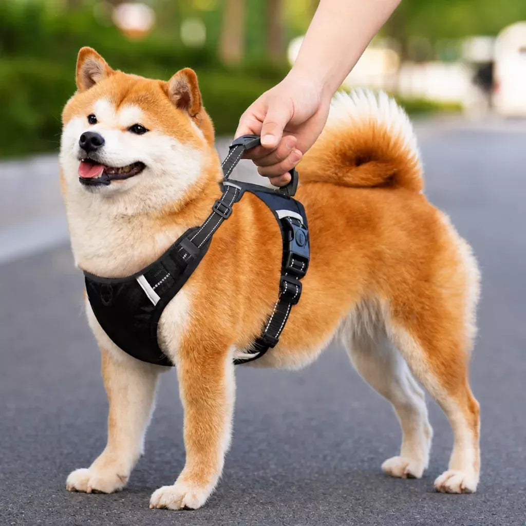 Dog Vest Harness and Leash for Everyday Walks