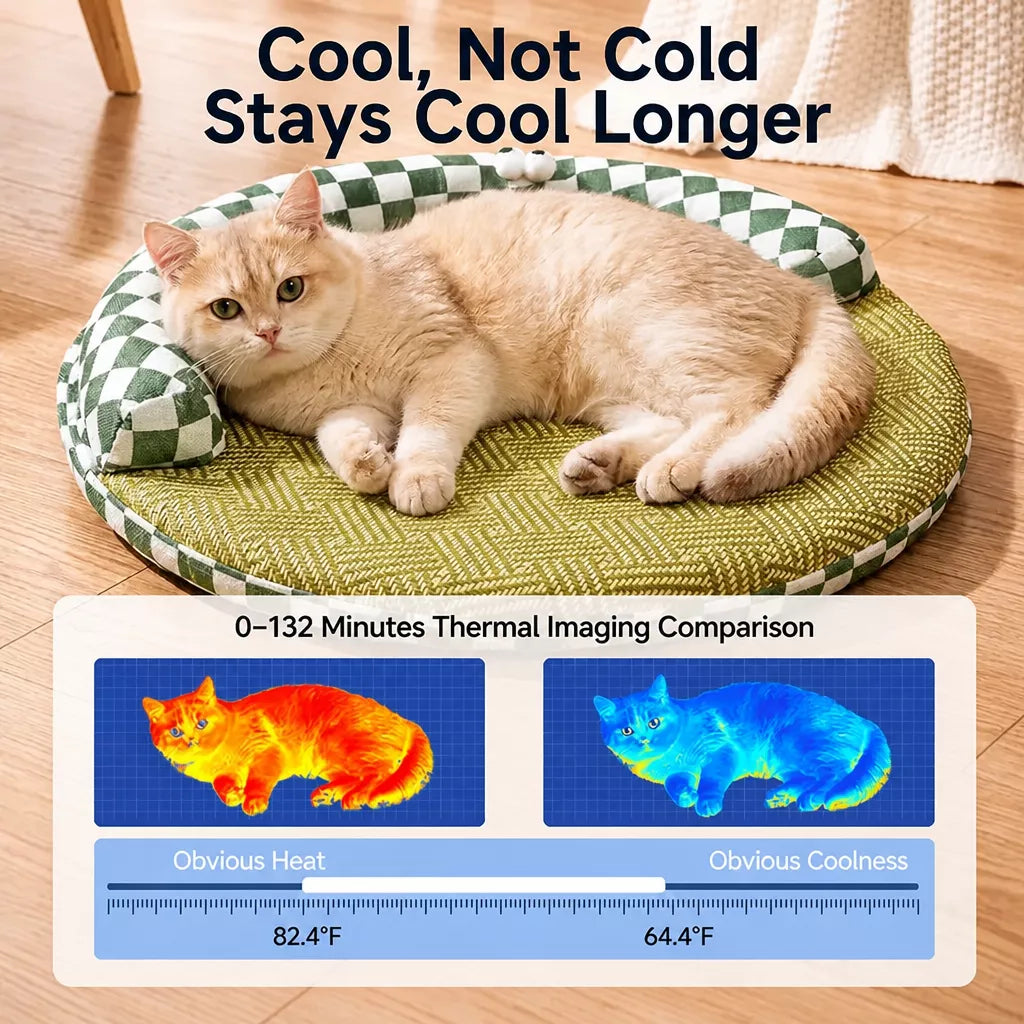 Round Cat Bed with Removable, Washable Mat