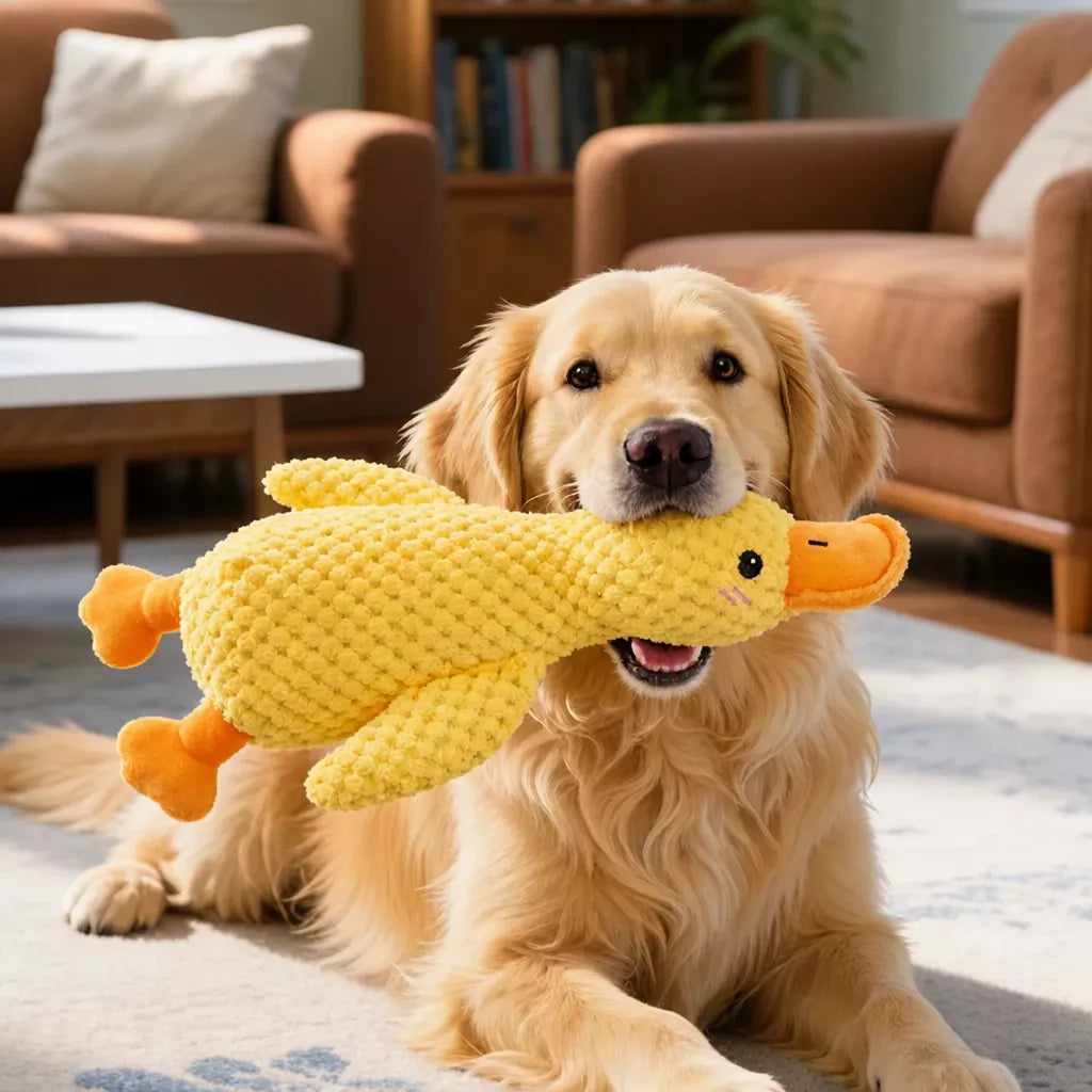 Plush Squeaky Pet Toy for Dogs and Cats – Assorted Animal Designs